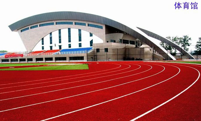 綠草地硅PU 緩沖層