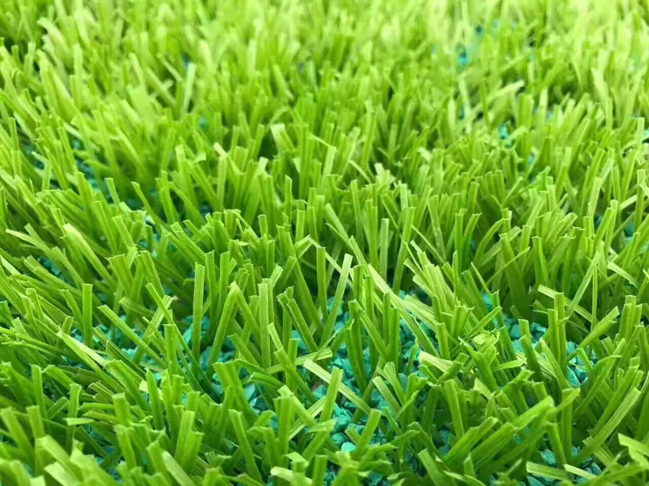 廣東惠州龍門小學(xué)